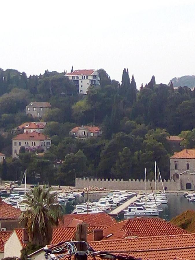 Apartman Ivana Leilighet Dubrovnik Eksteriør bilde